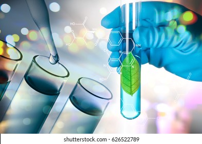 grünes Blatt in Laborteströhre, handisoliert auf weißem Hintergrund, Biotechnologie-Konzept