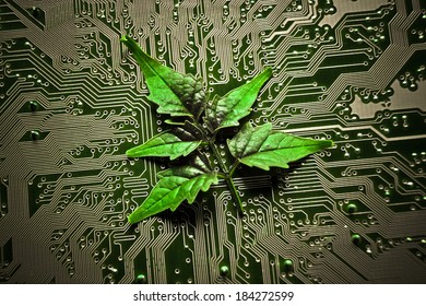 green leaf on computer circuit board / green it / green computing / csr