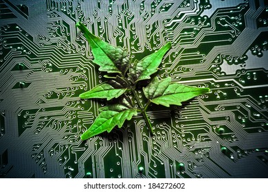 14,202 Leaf circuit Images, Stock Photos & Vectors | Shutterstock