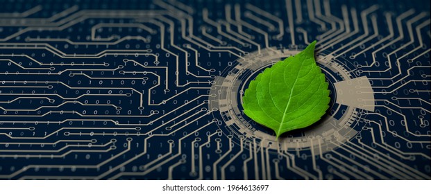 Green leaf on the converging point of computer circuit board. Nature with Digital Convergence and Technological Convergence. Green Computing, Green Technology, Green IT, csr, and IT ethics Concept.
