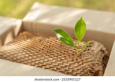 Green leaf on eco friendly brown paper honeycomb wrap for product packaging parcel carton box