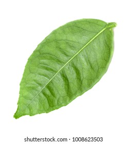 Passiflora Edulis Passion Fruit Leaf Isolated Stock Photo 701587153 ...