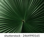 Green leaf pattern in garden. Abstract background