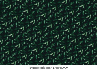 Green leaf pattern nature background, abstract green leaf