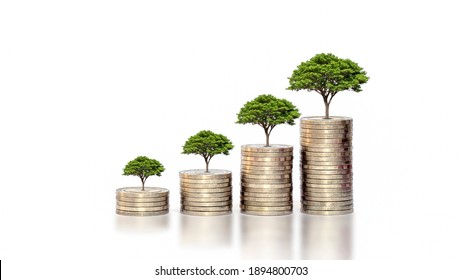 Green Leaf Plant Growth On The Coin On White Background Business Start Idea And Business Building To Success.