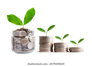 Green leaf plant on save money coins, Business finance saving banking investment concept. - Powered by Shutterstock