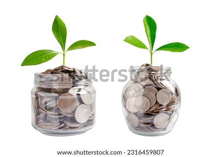 Green leaf plant on save money coins, Business finance saving banking investment concept.