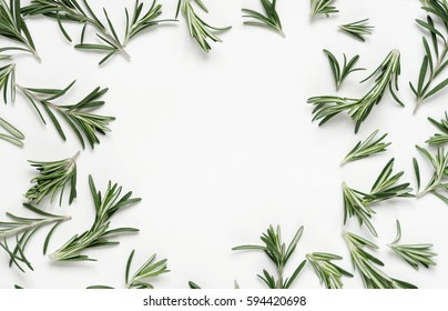 green leaf rosemary on white background. flat lay, top view.abstract