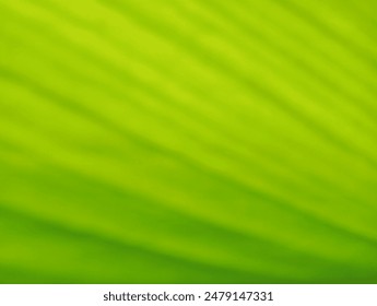 green leaf structure texture line pattern. for wallpaper, banner,  - Powered by Shutterstock