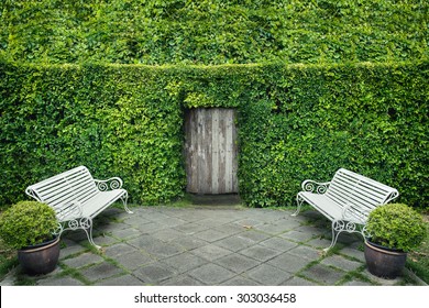 Green Leaf Wall And Door With Garden Chair