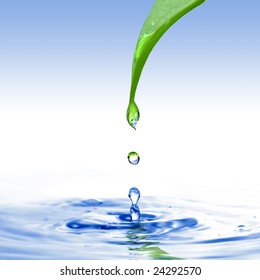 Green Leaf With Water Drop Ans Splash Isolated O White