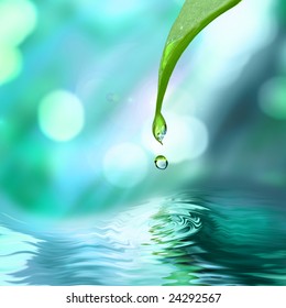 Green Leaf With Water Drop Water On Blue Sunny Background