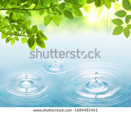 Green leaf with water drops on pond