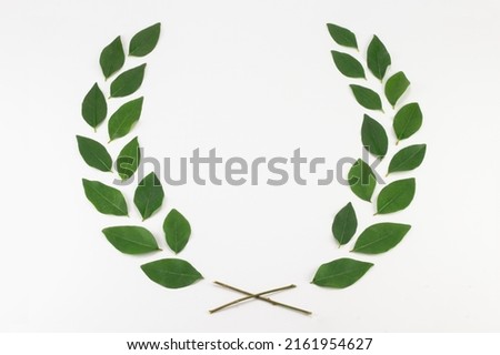 Green leaf wreath on white background. Top view