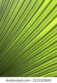 green leafpattern with diagonal texture