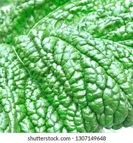 Green leafy vegetable