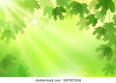 Green leaves background. Eco design template. Summer illustration with maple leaves. - Shutterstock ID 1097873534