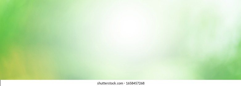Green leaves blur and blurred light bokeh. Abstract background and beautiful backdrop. - Shutterstock ID 1658457268