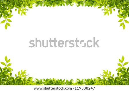 Green leaves border isolated on white background
