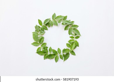 Green Leaves Circle