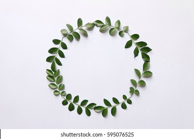 489,106 Circle green leaf Images, Stock Photos & Vectors | Shutterstock