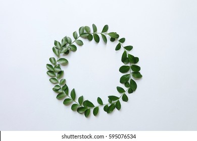 Green Leaves Circle