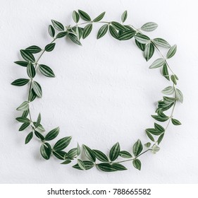 Green Leaves Circle