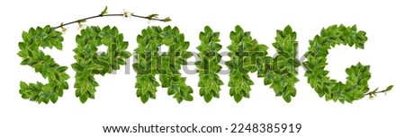 Green leaves and early flowers on twigs forming SPRING inscription isolated on white