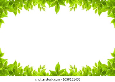 2,619,513 Leaves frame Images, Stock Photos & Vectors | Shutterstock