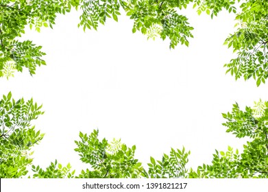 715,656 Branches Border Images, Stock Photos & Vectors | Shutterstock