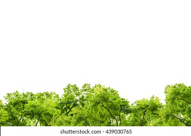 94,257 Twig border Images, Stock Photos & Vectors | Shutterstock