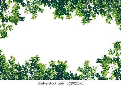 28,339 Artificial tree branch Images, Stock Photos & Vectors | Shutterstock