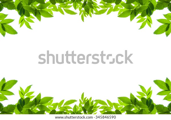 Green Leaves Frame Isolated On White Stock Photo (Edit Now) 345846590