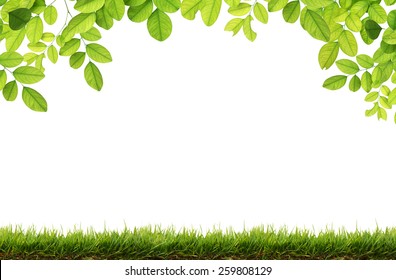 76,932 Leaf corner border Images, Stock Photos & Vectors | Shutterstock