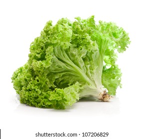 Green Leaf Lettuce Images Stock Photos Vectors Shutterstock