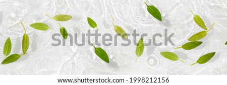 Green leaves on blue water background close-up. White texture surface with rings and ripple. Flat lay, top view, copy space, composition with copy-space.