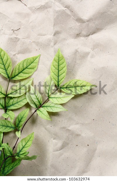 Green Leaves on\
recycle paper background