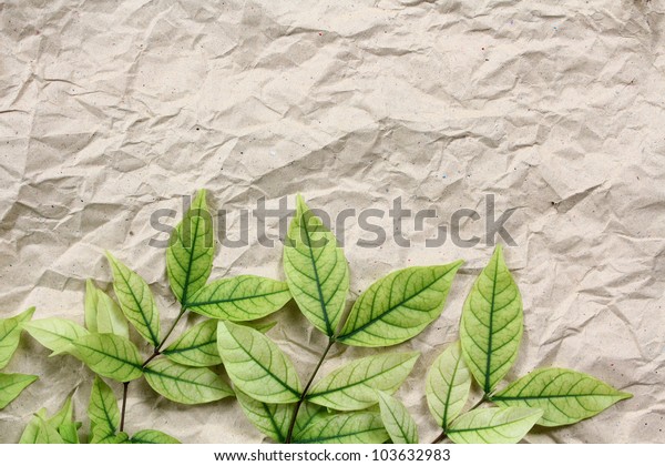 Green Leaves on\
recycle paper background