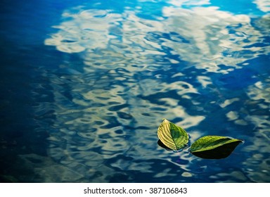 112,802 Leaf floating on water Images, Stock Photos & Vectors ...