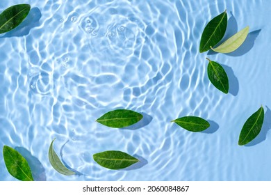 Green Leaves On Water Surface. Beautiful Water Ripple Background For Product Presentation. Copy Space 