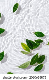 Green Leaves On Water Surface. Beautiful Water Ripple Background For Product Presentation. Copy Space 