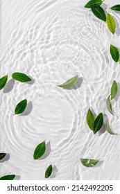 Green leaves on water surface. Beautiful water ripple background for product presentation. Copy space 