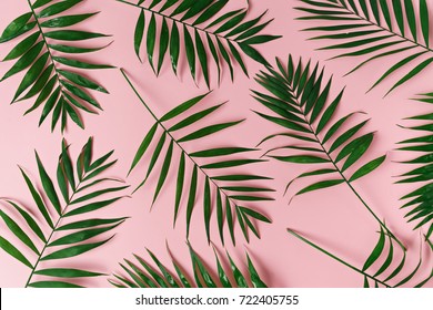 Wallpaper Palm Leaf Images Stock Photos Vectors Shutterstock