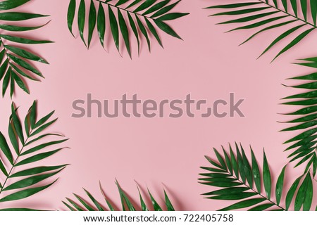 green leaves of palm tree on bright background 