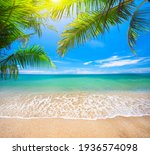 Green leaves of  Palm tree and tropical beach