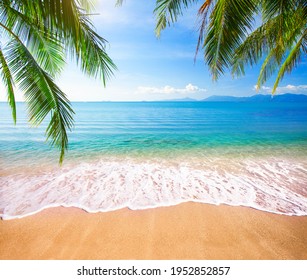 Green leaves of  Palm tree and tropical beach - Powered by Shutterstock