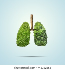 Green leaves shaped in human lungs. Conceptual image