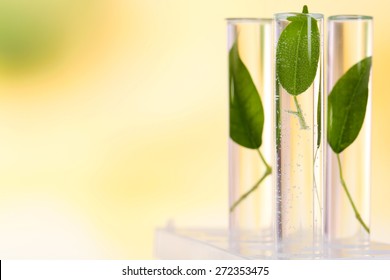 Chimie Verte High Res Stock Images Shutterstock