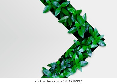Green leaves texture in the form of an arrow. Mockup for natural and organic products. Natural design, background and wallpaper