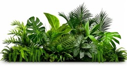 Grüne Blätter Von Tropischen Pflanzen, Florale Anordnung Der Buschblumen Im Innengarten Naturhintergrund Einzeln Auf Weißem Hintergrund